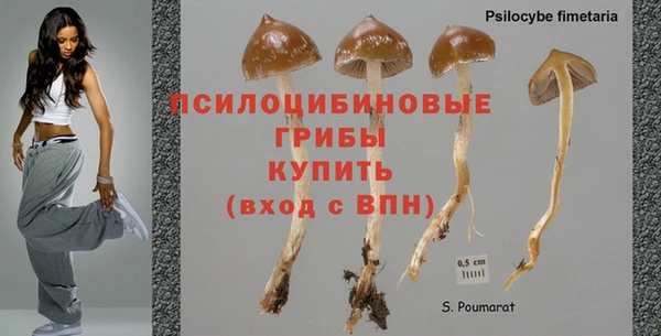 крисы Верхний Тагил