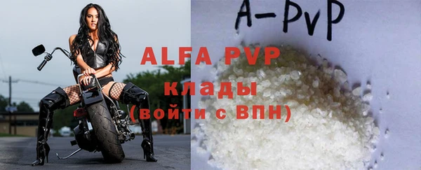 крисы Верхний Тагил