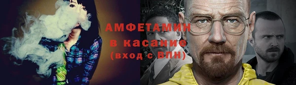 крисы Верхний Тагил