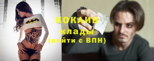крисы Верхний Тагил