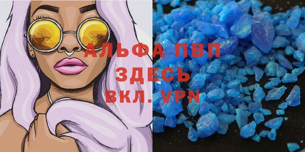 крисы Верхний Тагил