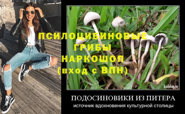 ECSTASY Верея