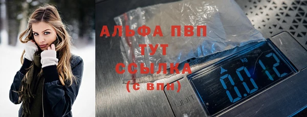 крисы Верхний Тагил