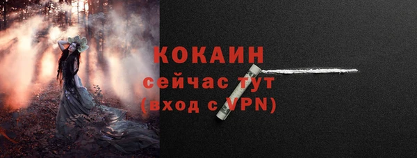 крисы Верхний Тагил