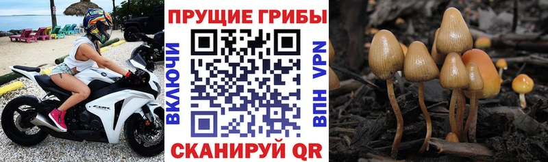 мега маркетплейс  Армавир  Галлюциногенные грибы прущие грибы 